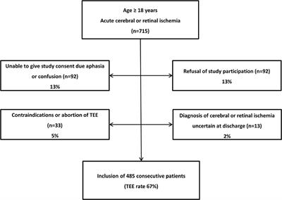 Who Should Rather Undergo Transesophageal Echocardiography to Determine Stroke Etiology: Young or Elderly Stroke Patients?